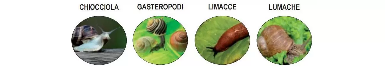 CARAKOL-AGRO-esca-lumachicida-Metaldeide-bersaglio