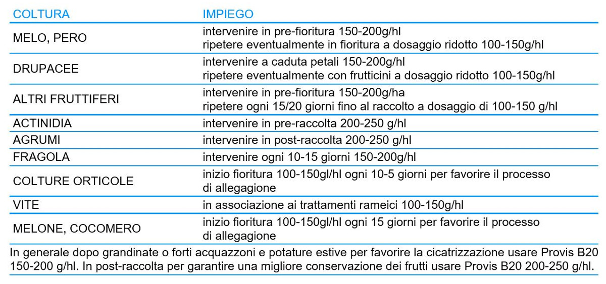 provis-b20-cerrus-concime-fogliare-a-base-di-boro-etanolammina-1l-impiego