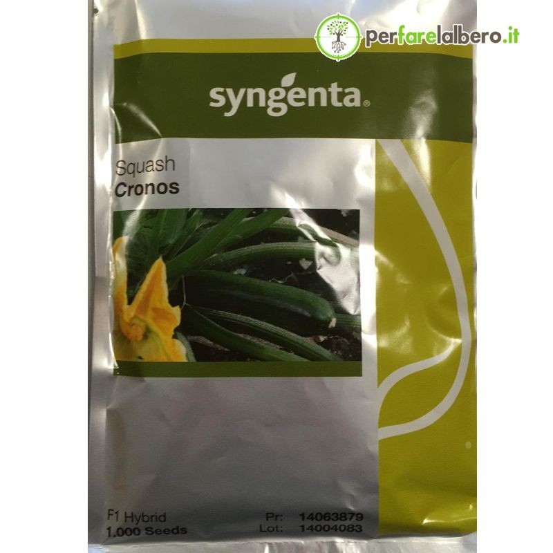 Zucchino verde CRONOS Syngenta 1000 Semi resistente a oidio e virus