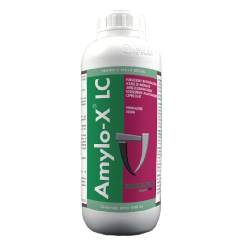 Amylo-X LC Biogard Fungicida battericida Bacillus amyloliquefaciens