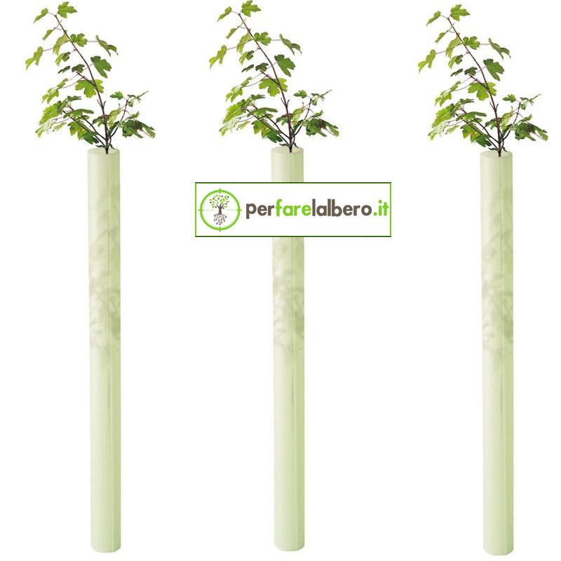 Shelter Di Protezione Tubex Fruitwrap Protezione Alberi Da