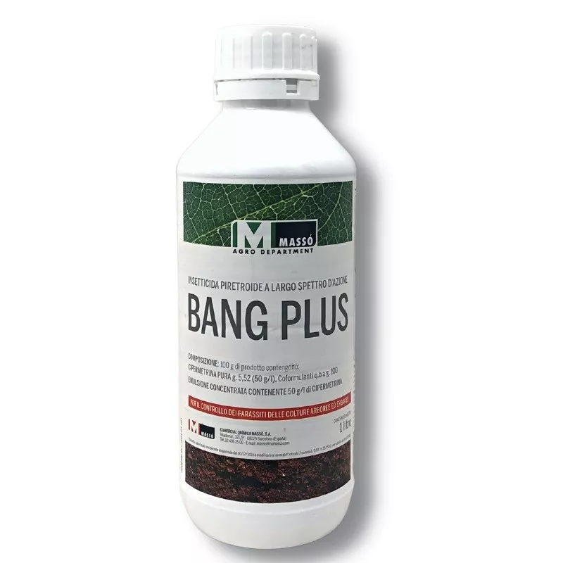 Bang Plus Massò insetticida piretroide cipermetrina 1 L