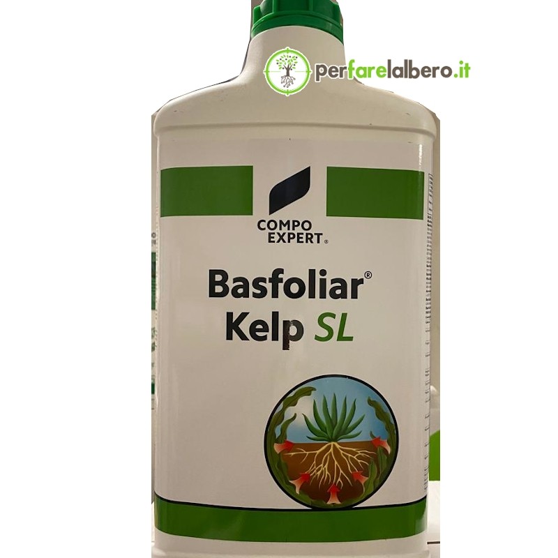 Basfoliar Kelp SL Biostimolante naturale estratto alga Ecklonia maxima 10 L