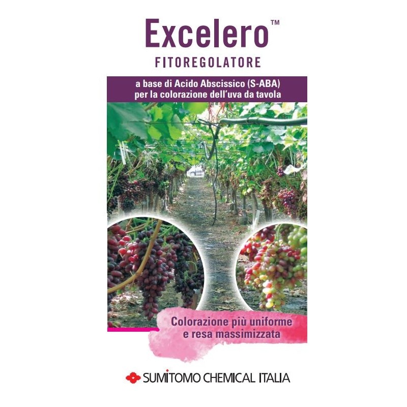 Excelero Sumitomo regolatore di crescita Acido S-Abscissico (S-ABA) 2 L