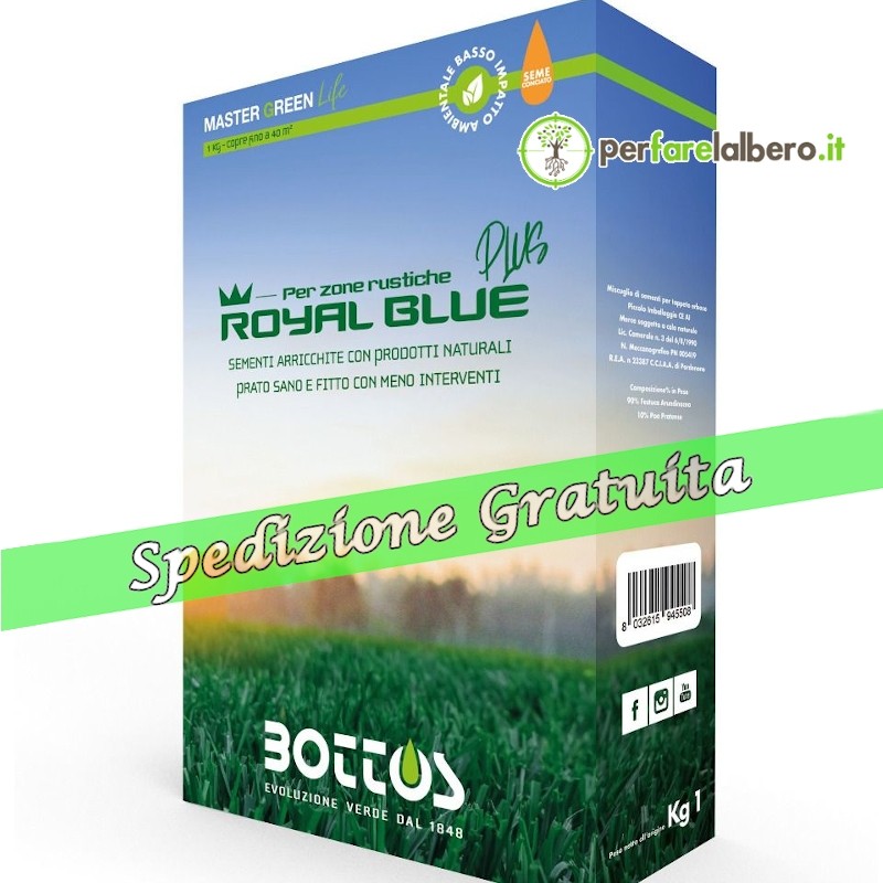 Royal Blue Plus Bottos Master Green Life Sementi per prato conciante 1 kg