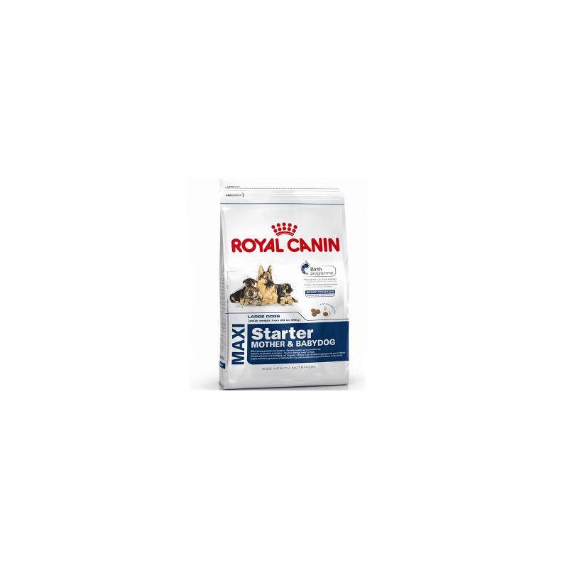 Royal Canin Maxi Starter Mother e Babydog