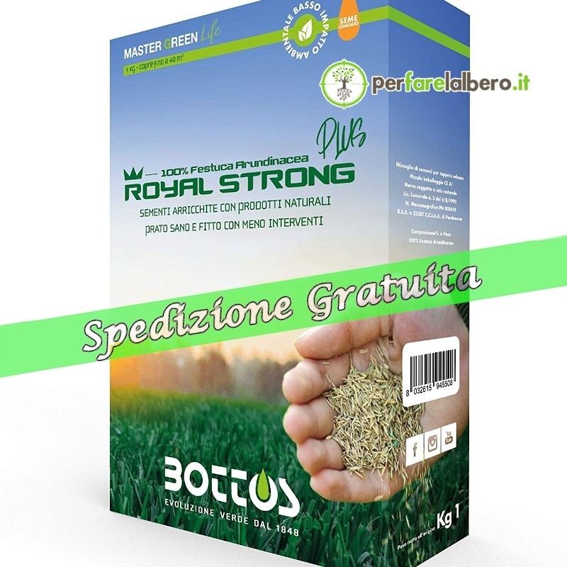 Royal Strong Plus Bottos Master Greeen Life Sementi conciante per prato