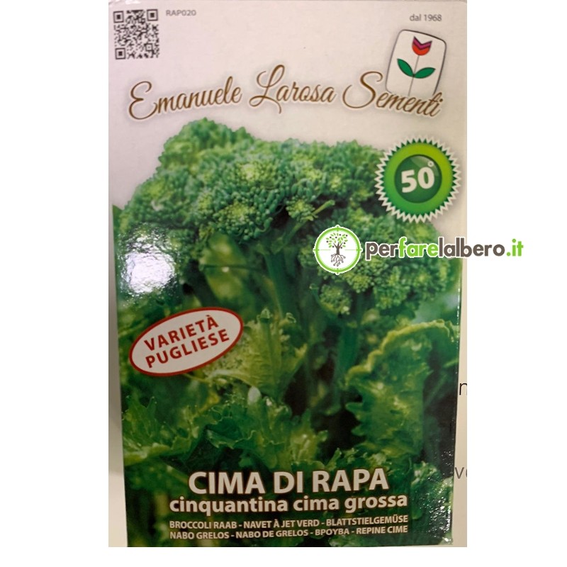 Sementi Cima di Rapa Cinquantina Cima Grossa 500 g