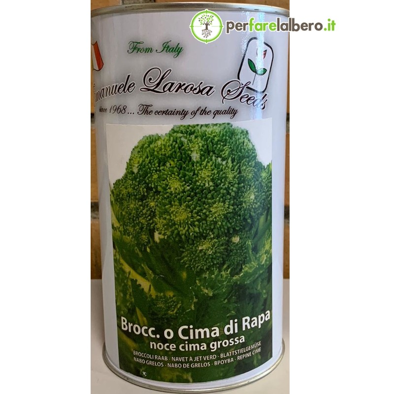 Sementi cima di rapa Noce cima grossa 500 g