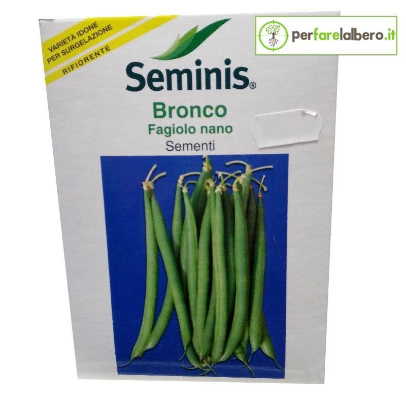 Sementi Fagiolo Nano Bronco Seminis 1 kg