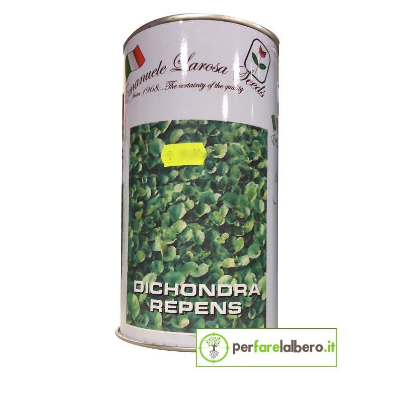 Sementi Prato Dichondra repens 500 g