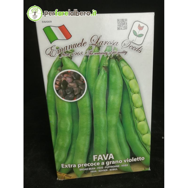 Semi Fava extra precoce a grano violetto 500 g