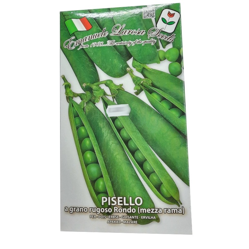 Semi Pisello mezza rama a grano rugoso RONDO 1 kg