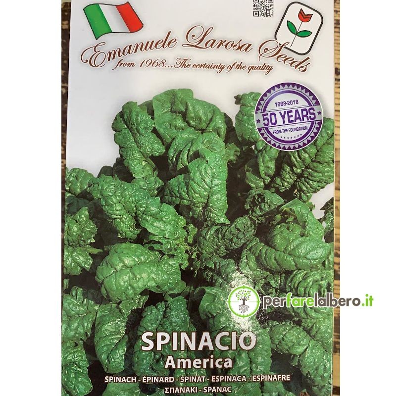 Semi Spinacio Riccio America 500 g