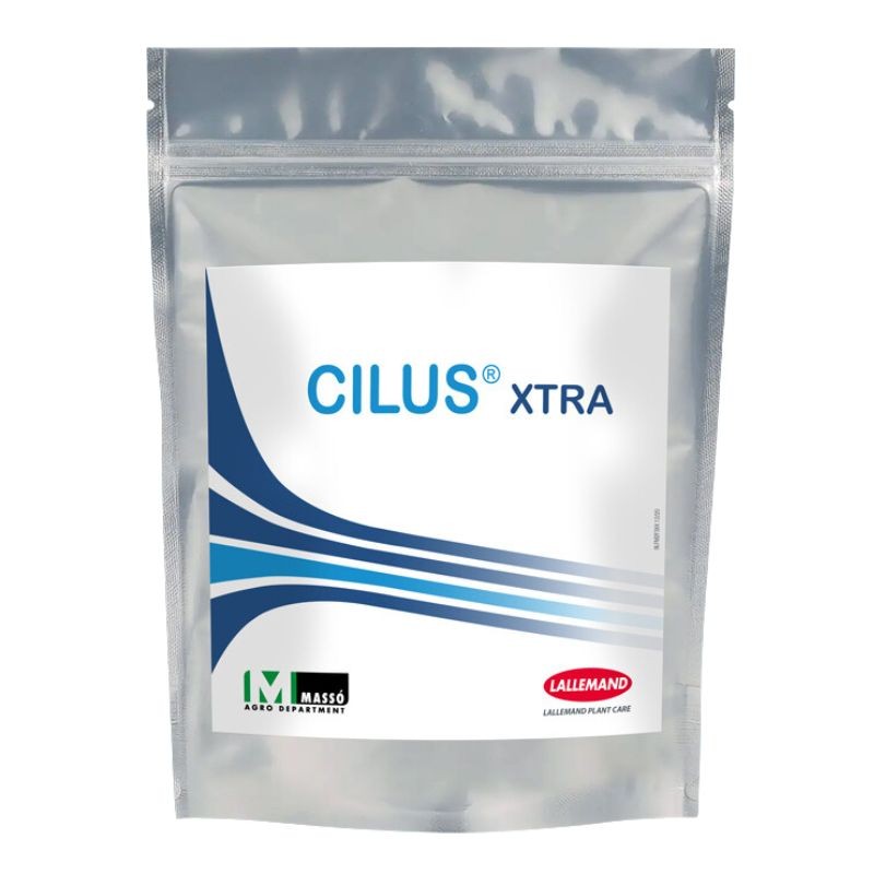 Cilus Xtra Massò inoculo di funghi micorrizici 200 g