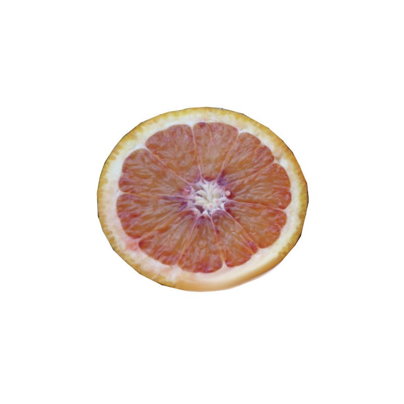 Pianta di Arancio Tarocco Meli (Citrus sinensis)