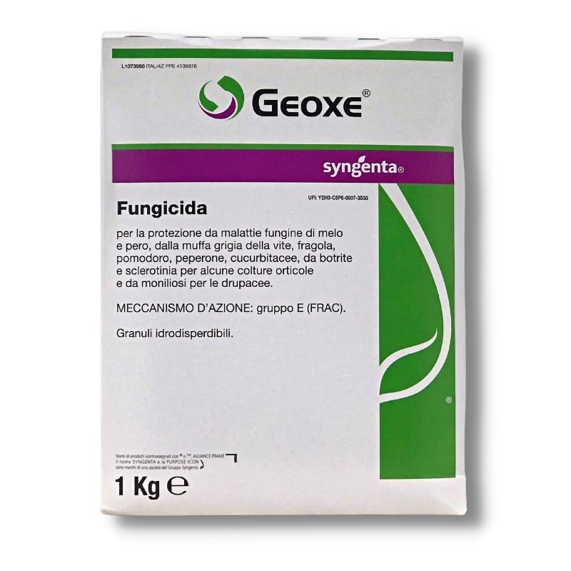 Geoxe Syngenta fungicida in granuli idrodispersibili Fludioxonil 1 kg