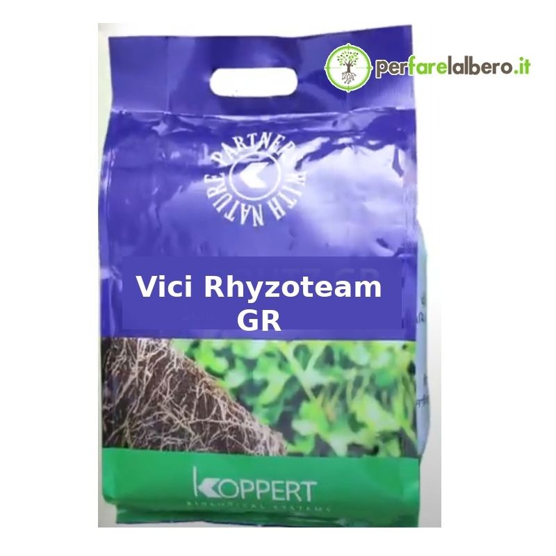 Vici Rhyzoteam GR Koppert fertilizzante vegetale naturale Trichoderma 20 kg