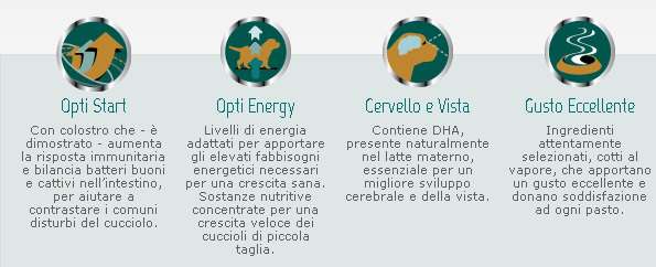 caratteristiche prodotto