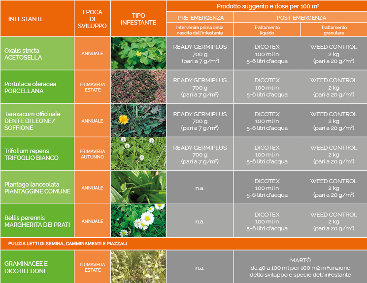 Gestione malerbe dicotiledoni