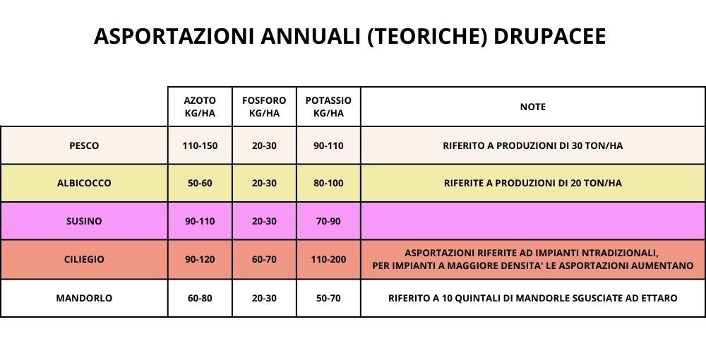 asportazioni-annuali-drupacee