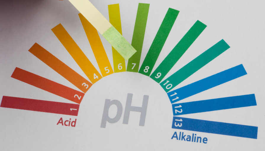 L'importanza del pH nella fertirrigazione: guida completa