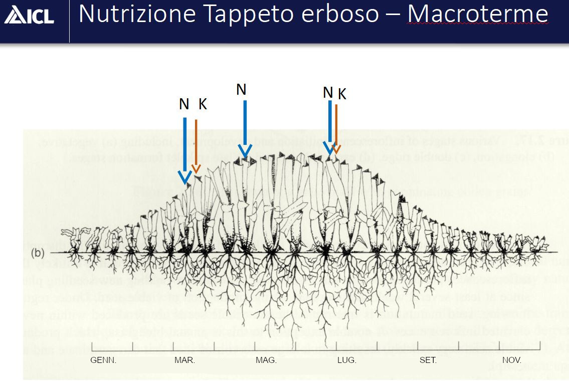 macroterme periodo concimazione