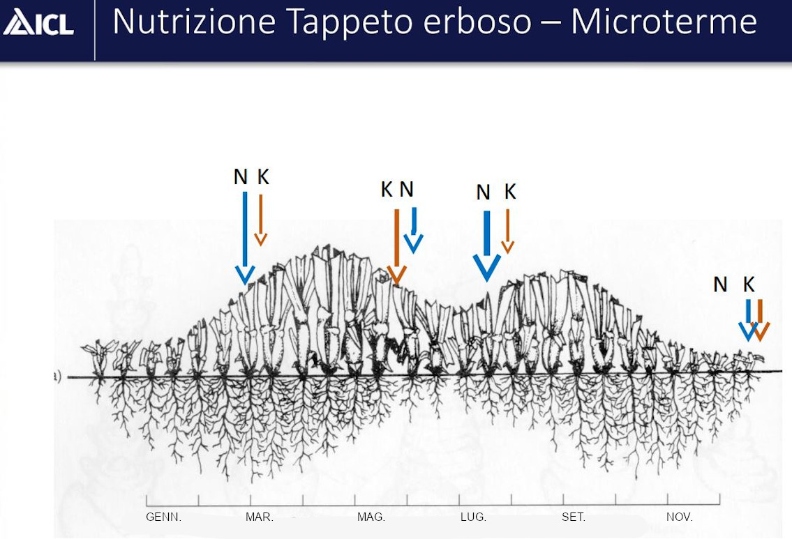 microterme periodo concimazione