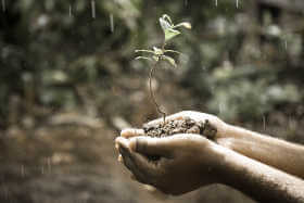 Strategie per proteggere le piante dagli eventi climatici estremi