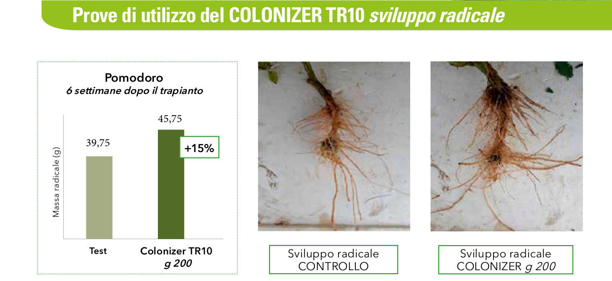 Colonizer TR10 vantaggi utilizzo 