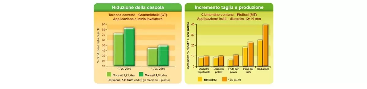 corasil