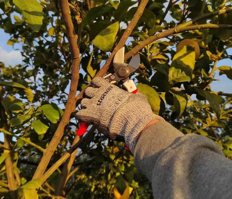 Guanti da lavoro anti-taglio 5 STOCKER EN388