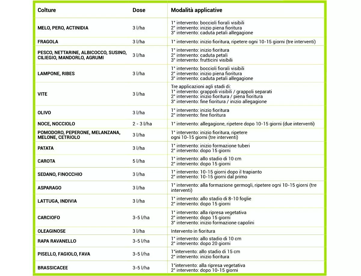 bm 86 fisioattivatore dosi