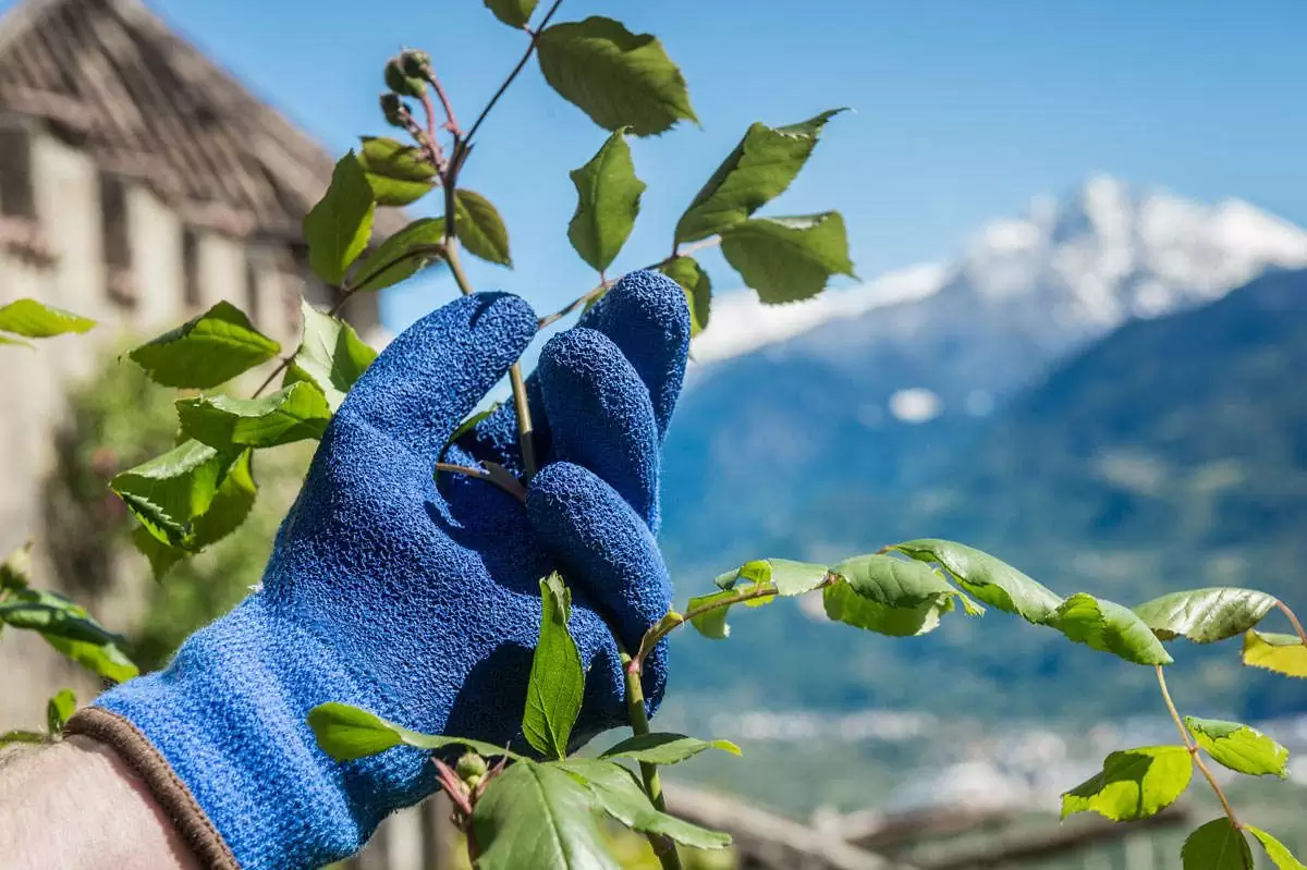 guanti da lavoro invernali stocker 22022 22023