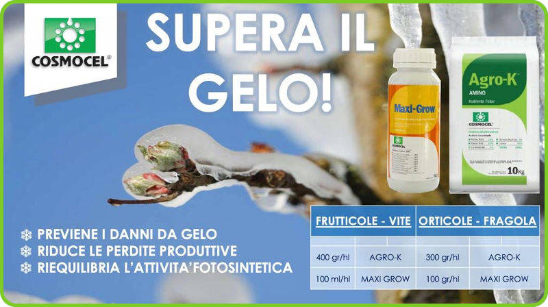 prevenire i danni da gelo