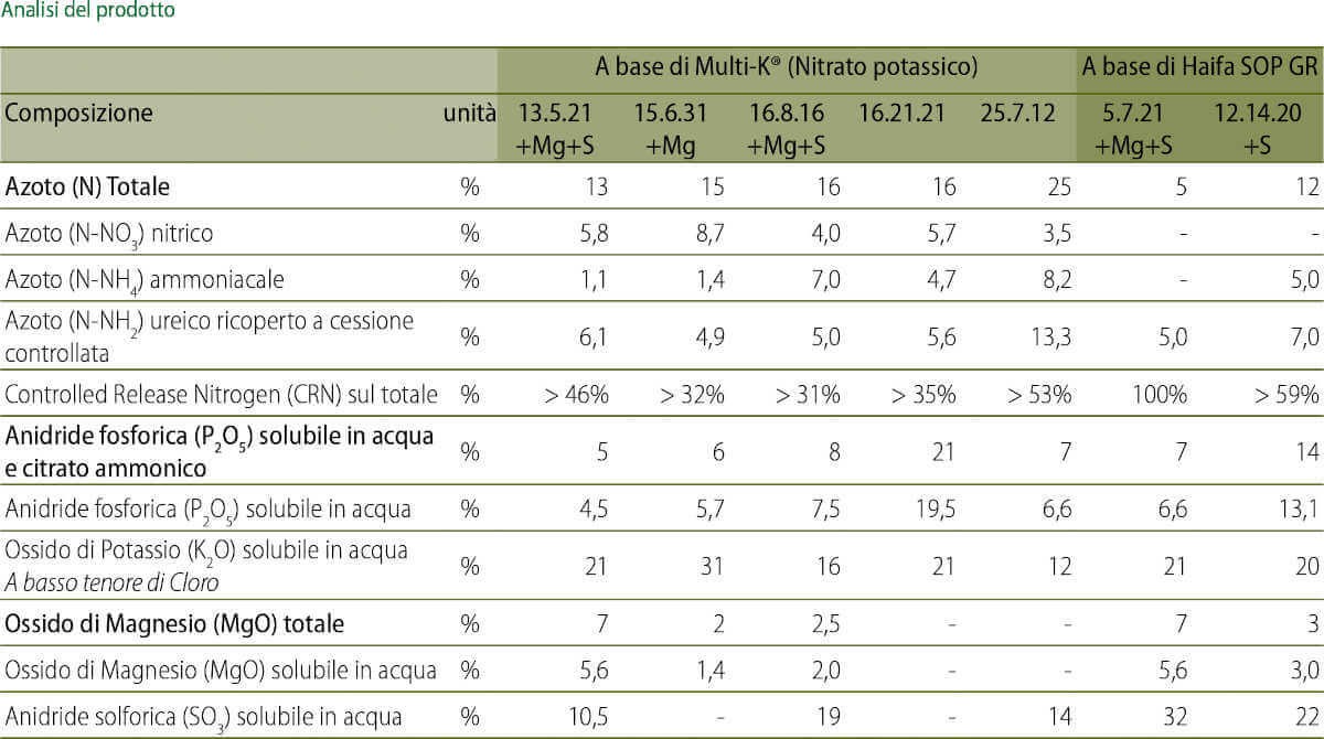 haifa multicote composizione