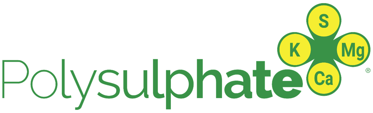 Logo Polysulphate