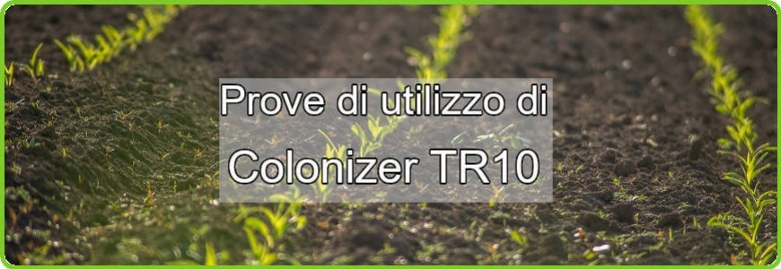 L'importanza dei Funghi Micorrizici e Batteri della Rizosfera 