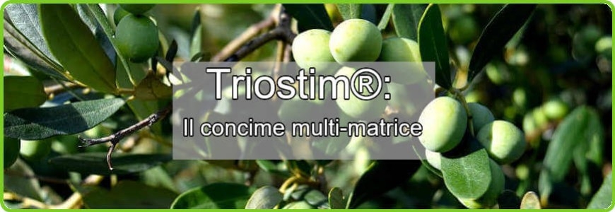 Triostim: Il concime multi-matrice per colture sostenibili