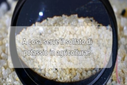 A cosa serve il solfato di potassio in agricoltura?