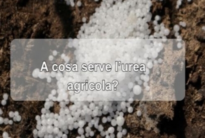 A cosa serve l'urea agricola? 