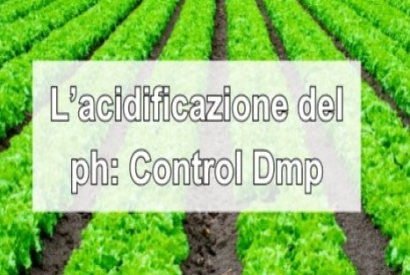 L' acidificazione del ph: come e perché usare Control Dmp