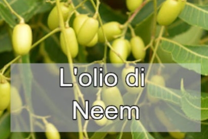 Olio di neem a cosa serve?