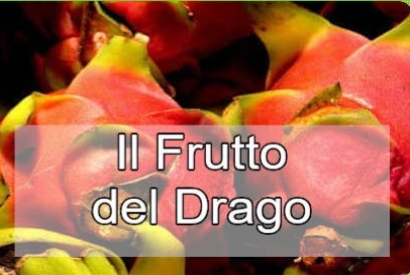 Il Frutto del Drago in Italia: Una Nuova Coltivazione in Crescita