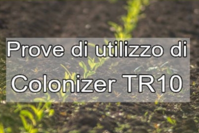 L'importanza dei Funghi Micorrizici e Batteri della Rizosfera 