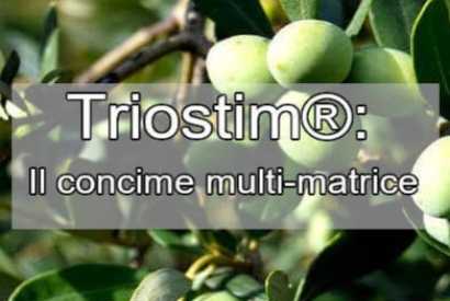 Triostim: Il concime multi-matrice per colture sostenibili