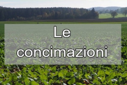 Guida Completa alla Concimazione: Quando, Perché e Quale Prodotto Scegliere