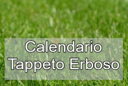 Calendario Trattamenti Tappeto Erboso